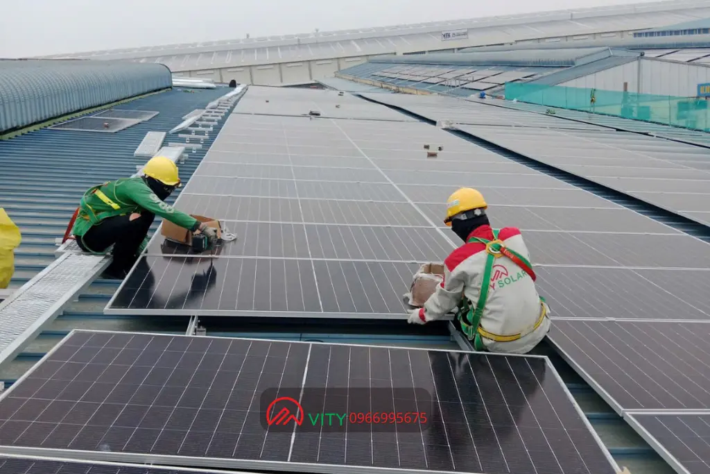 Dự án ĐMT tại Cái Mép - Thị Vải